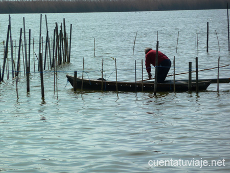 Parque Natural de la Albufera, Valencia